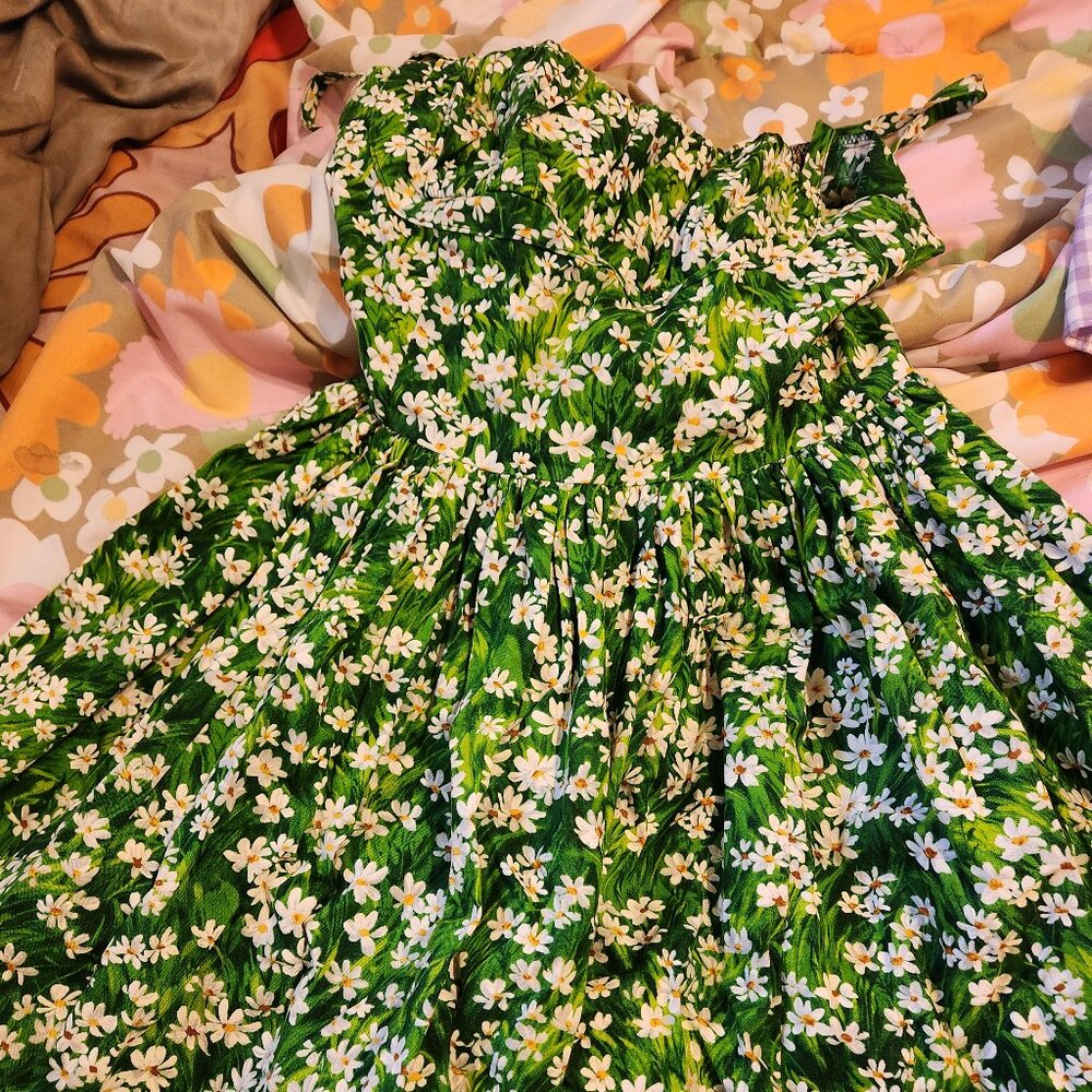 Bernie dexter daisy Paris